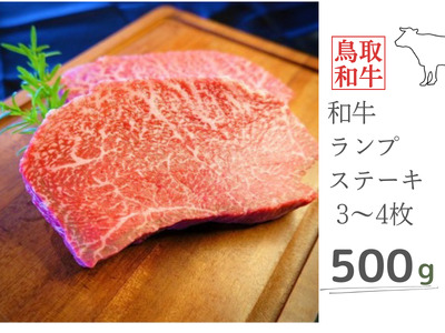 鳥取和牛ランプステーキ 500g 鳥取県産 MK12 1003