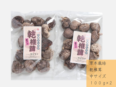 中尾さんちの乾椎茸 中  100g 2袋 原木栽培 干しシイタケ 普通サイズ / SAC中尾 椎茸屋 0798