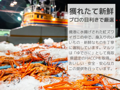 蟹屋の釜茹で紅ずわいがに2枚セット(大) カニ専門店マルツ 先行受付 M2 1027