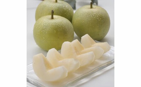 二十世紀梨 5kg 鳥取県産 先行予約受付 JA 米子選果場 2026年収穫分 なし 5キロ 0924