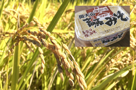 特別栽培米コシヒカリ2kg・奥大山高原みそ900g(宮市)0206
