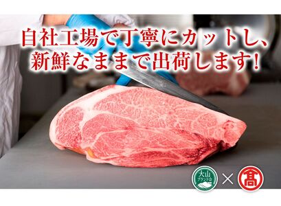 ＜HANAFUSA＞鳥取和牛特選モモ焼肉用（大山ブランド会）米子高島屋 56-AC7 0254