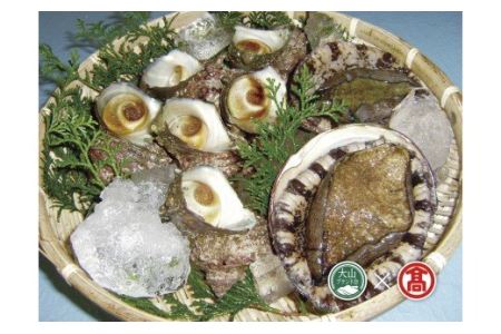 あわび・さざえ海の貝セット 天然物(大山ブランド会)0305.30-T2