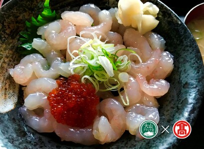 づけ丼・昆布じめ丼・くんせい詰合せ(大山ブランド会)米子高島屋 28-BP2 0364