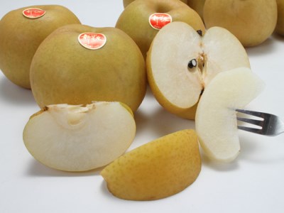 新甘泉 5kg なし 鳥取県産 先行受付【8月下旬～9月上旬頃発送】 JA米子選果場 しんかんせん ナシ 梨 5ｷﾛ 0566