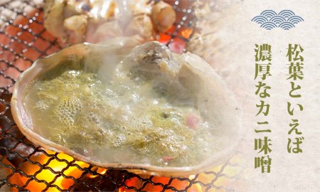 タグ付き蒸し松葉ガニ 大2枚 1枚800~940g前後 ズワイガニ かに 鳥取 TM2 0712