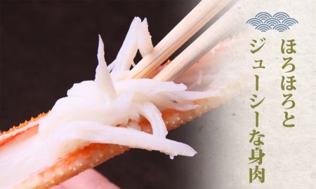 訳あり足折れ松葉ガニ 約3~5枚 (計1.5kg前後) 蒸し ずわいがに カニ 訳アリ 鳥取 TM13 0723