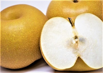 新興梨 5kg 鳥取県産【10月上旬～10月中旬頃発送】先行予約受付 しんこう なし ナシ 梨 5ｷﾛ JA米子選果場 0737