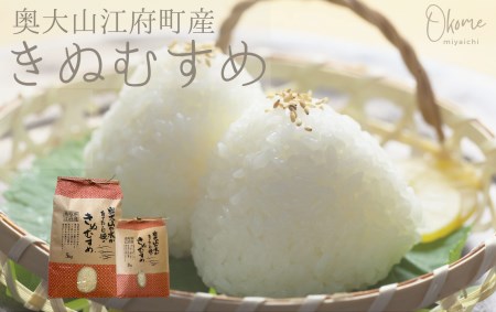 【令和7年産】きぬむすめ 2kg 鳥取県江府町産 キヌムスメ 精米 産地直送 お試し2ｷﾛ 0932