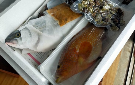 漁師直送！旬の高級海産物詰合せ（30,000円相当） 冷凍 012-01