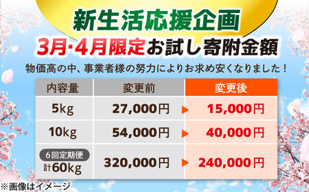 ＼新生活応援企画！／【数量限定50個】【4月末まで！】豊かな自然が育んだお米 松江市産きぬむすめ 5kg 島根県松江市/フジキコーポレーション株式会社[ALDS020] 
