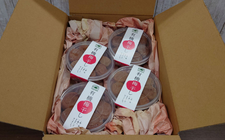 【年内発送】梅干し 宝箱の有機梅干し 島根県松江市/有限会社宝箱[ALBI011] 梅干し 梅干し