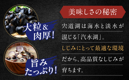 鮮度抜群！宍道湖産しじみLサイズ2kg(生鮮･砂抜済･活しじみ) 松江自慢のしじみです！ 島根県松江市/有限会社藤本米穀店[ALCG008]