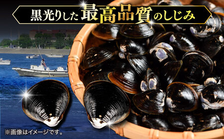 しじみ しじみ 砂抜き不要！ 活ヤマトシジミ 生しじみ 2kg 島根県松江市/株式会社漁師村[ALDN003] しじみ しじみ