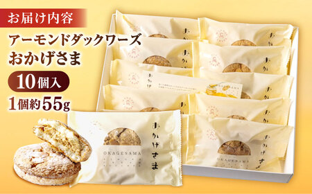 洋菓子 贅沢アーモンドダックワーズ【松江クロードのおかげさま 10個入り】ブッセ 洋菓子 グルテンフリー ギフト プレゼント 島根県松江市/有限会社松江クロード[ALCL003] 洋菓子 洋菓子