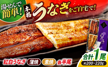 うなぎ うなぎ老舗専門店のパリっとふっくら 紅白うなぎ 蒲焼・素焼半身　(真空パック/秘伝のタレ・藻塩付き) 島根県松江市/株式会社山美世商会[ALDC004] うなぎ うなぎ