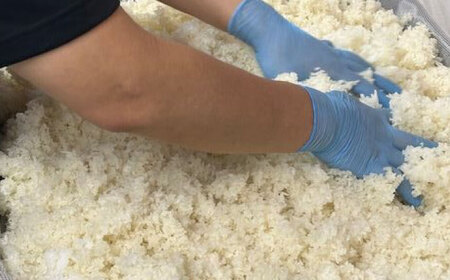 甘酒 米麹の甘酒550g×15本 島根県松江市/合同会社スギナリ醸造所[ALGY001] 甘酒 甘酒