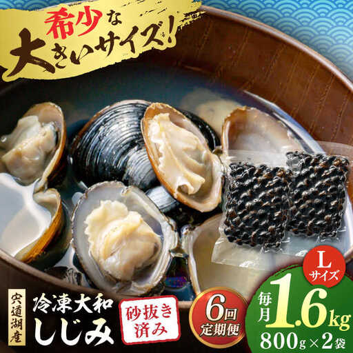 しじみ 【全6回定期便】宍道湖産 冷凍大和しじみ 砂抜き済 Lサイズ800×2袋(1.6kg) 島根県松江市/しじみ市場株式会社[ALDK007] しじみ しじみ