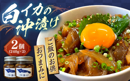 イカ 白イカ(ケンサキイカ)の沖漬け240g×2個セット 島根県松江市/海ひこ株式会社[ALDY004] イカ イカ