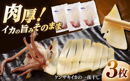 イカ 白イカ(ケンサキイカ)の一夜干し3枚セット 島根県松江市/海ひこ株式会社[ALDY006] イカ イカ