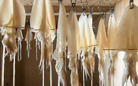 イカ 白イカ(ケンサキイカ)の一夜干し3枚セット 島根県松江市/海ひこ株式会社[ALDY006] イカ イカ