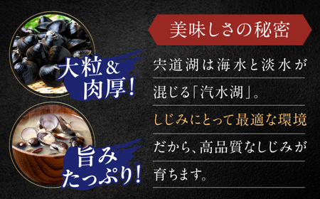 しじみ 【全3回定期便】宍道湖産 「しじみ」 100g×8 島根県松江市/有限会社ヤマヲ水産[ALDB017] しじみ しじみ