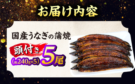 うなぎ 国産うなぎの蒲焼×5尾（頭付き）島根県松江市/うなぎの源内[ALHE003] うなぎ うなぎ