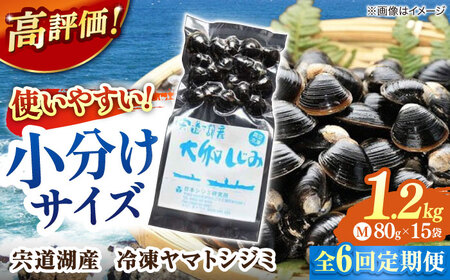しじみ 【全6回定期便】生産量日本一！宍道湖産 ヤマトシジミMサイズ（真空冷凍） 80g×15袋 島根県松江市/有限会社日本シジミ研究所[ALBS004] しじみ しじみ 8,875円