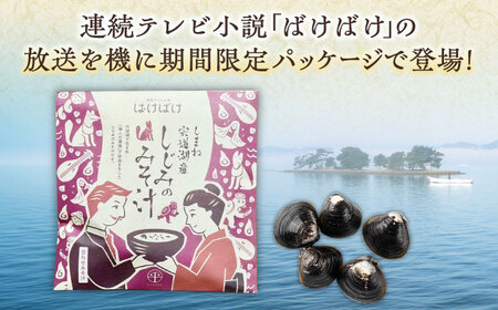 【年内発送】毎日食べたい！宍道湖産大和しじみの即席しじみ汁(合わせ味噌)46g×20袋〜連続テレビ小説「ばけばけ」ロゴライセンス商品〜 島根県松江市/平野缶詰有限会社[ALBZ045]