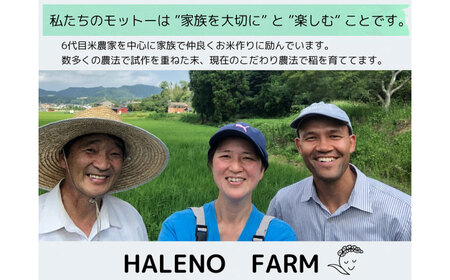 無洗米【令和7年度 新米】【数量限定】松江市産きぬむすめ5kg 米 [ALBW010] 