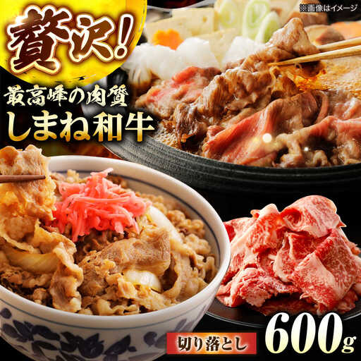 しまね和牛切り落とし 600g 島根県松江市/株式会社さんれいフーズ[ALFR007]