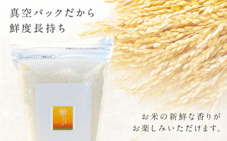 令和7年産 プレミアム仁多米（こしひかり）なおらい米 真空パック 6kg（2kg3袋）島根県松江市/奥出雲NAORAI/株式会社たなべの匠味 [ALHP018]