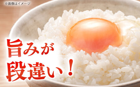 島根が誇るブランド米！仁多米「大峠源流米」20kg（5kg×4）島根県松江市/有限会社藤本米穀店[ALCG032]
