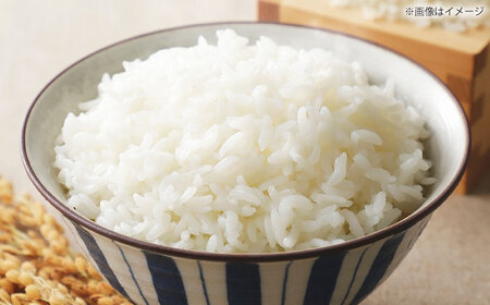 令和7年産 島根県産「出雲神名火きぬむすめ」5kg（5kg×1）島根県松江市/有限会社藤本米穀店[ALCG041]