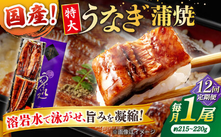 【12回定期便】うなぎ老舗専門店のパリっとふっくら国産うなぎ 蒲焼1尾(蒲焼のタレ付き) 島根県松江市/株式会社山美世商会[ALDC009]