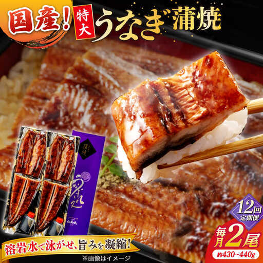 【12回定期便】うなぎ老舗専門店のパリっとふっくら国産うなぎ 蒲焼2尾(蒲焼のタレ付き) 島根県松江市/株式会社山美世商会[ALDC015]