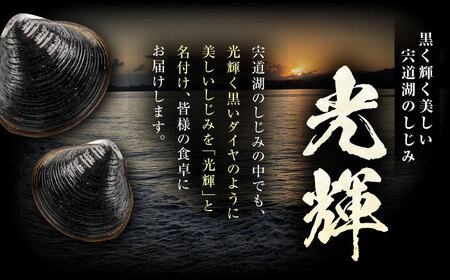 【全3回定期便】産地直送！宍道湖産 冷凍大和しじみMサイズ1kg(500g×2) 砂抜き処理済 島根県松江市/りすたむmatsue[ALDE019]