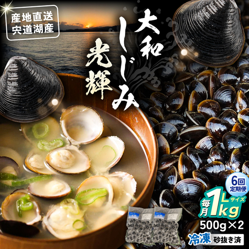 【全6回定期便】産地直送！宍道湖産 冷凍大和しじみLサイズ1kg(500g×2) 砂抜き処理済 島根県松江市/りすたむmatsue[ALDE023]