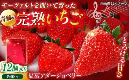 【数量限定100セット】島根県松江市「のつ農園」　完熟いちご「福富アダージョベリー」　12個入り 島根県松江市/山陰中央テレビジョン放送株式会社[ALFI003]