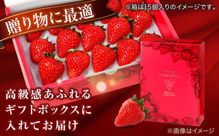 【数量限定100セット】島根県松江市「のつ農園」　完熟いちご「福富アダージョベリー」　12個入り 島根県松江市/山陰中央テレビジョン放送株式会社[ALFI003]