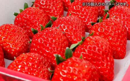 【数量限定100セット】島根県松江市「のつ農園」　完熟いちご「福富アダージョベリー」　12個入り 島根県松江市/山陰中央テレビジョン放送株式会社[ALFI003]