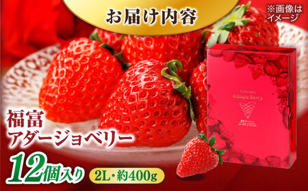 【数量限定100セット】島根県松江市「のつ農園」　完熟いちご「福富アダージョベリー」　12個入り 島根県松江市/山陰中央テレビジョン放送株式会社[ALFI003]