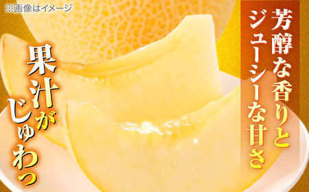 【先行予約】ご縁玉 ゴールデンパールメロン1.3kg×1玉 島根県松江市/有限会社安藤農園[ALID010]