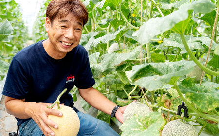 【先行予約】ご縁玉 ゴールデンパールメロン1.3kg×1玉 島根県松江市/有限会社安藤農園[ALID010]