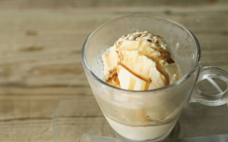 【全3回定期便】カフェ･ラテベース 500ml×2本入り 島根県松江市/服部珈琲工房[ALBY010]