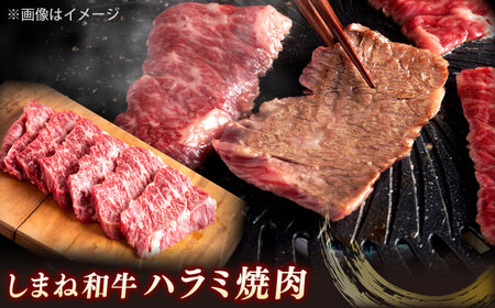 極上厳選！受賞歴多数 しまね和牛 ハラミ焼肉・牛タンのセット！計740g 島根県松江市/株式会社O.R.C[ALEF015]