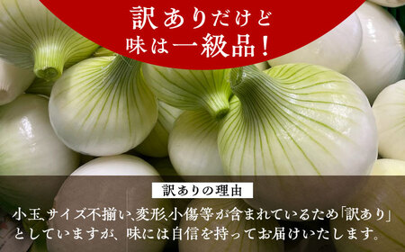 【訳あり】【数量限定30個】【先行予約/2026年6月上旬以降順次発送】美味しまねゴールド認証取得！ 松江市産 春おとずれ新たまねぎ 5kg 島根県松江市/mishiro farm[ALIJ001]