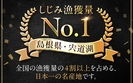 【年内発送】しじみ 宍道湖産冷凍大和しじみ (Ｌ)500g×3袋 島根県松江市/平野缶詰有限会社[ALBZ008] しじみ しじみ