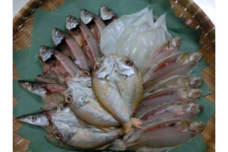 ふるさと納税 松江市 恵曇(えとも)開きノドグロ一夜干しセット - 魚介