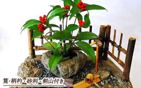 庭園 つくばいセット 島根県松江市/来待石灯ろう協同組合[ALAN001] 庭園 庭園